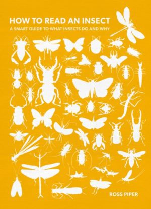 How to Read an Insect : A Smart Guide to What Insects Do and Why