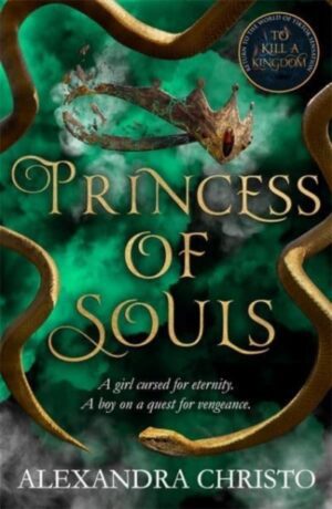Princess of Souls : from the author of To Kill a Kingdom, the TikTok sensation!