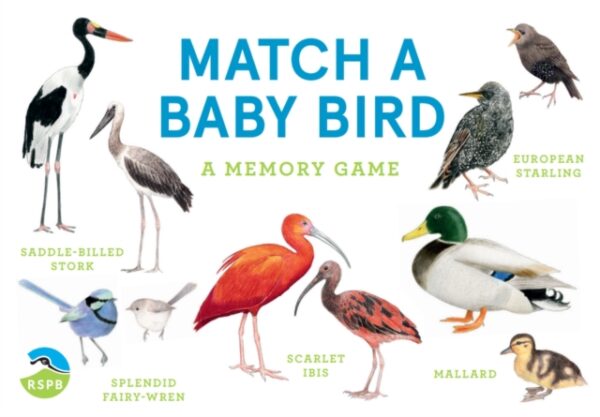 MATCH THE BABY BIRD