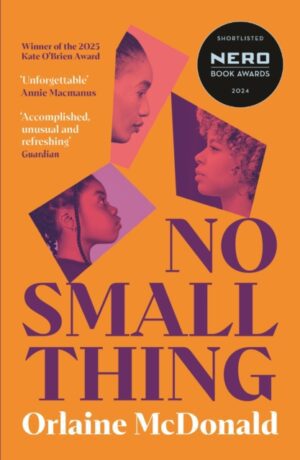 No Small Thing : Shortlisted for the 2024 Nero Book Awards for Debut Fiction